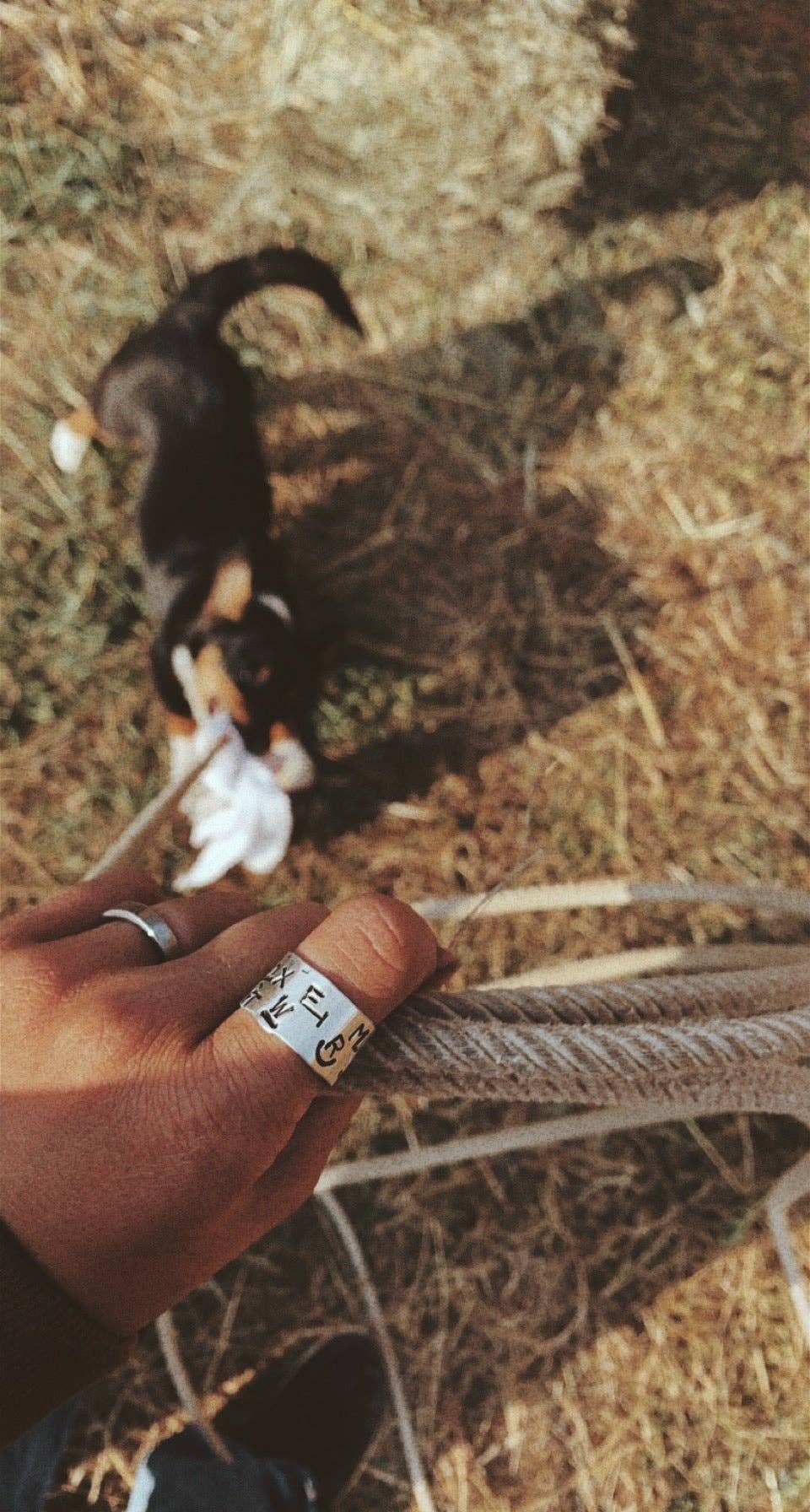 Wyoming Brand Ring