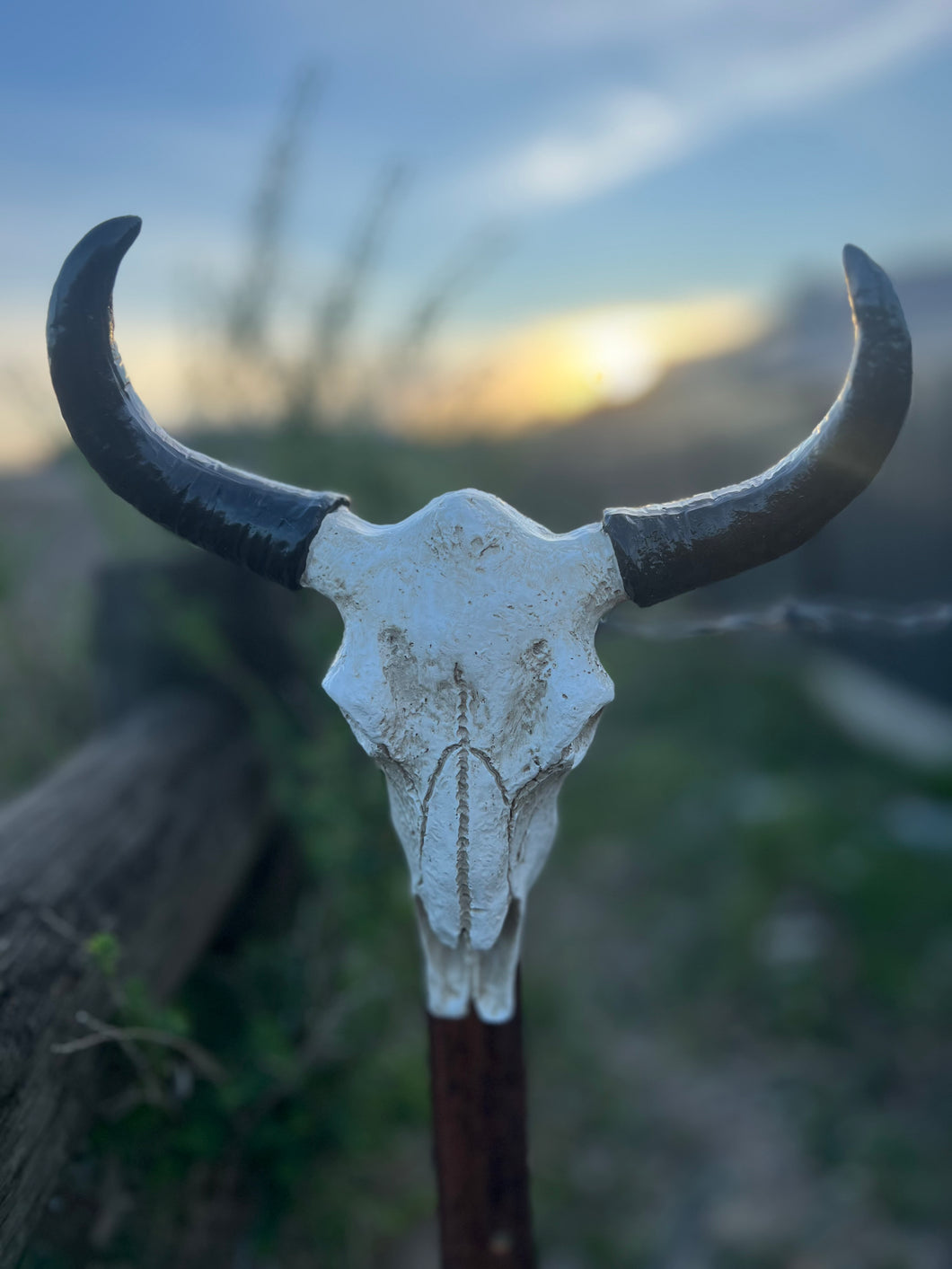Resin Bull Skull