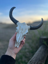 Load image into Gallery viewer, Resin Bull Skull
