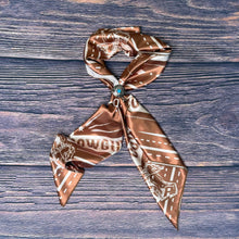 Load image into Gallery viewer, RODEO COWGIRLS PRINT SILK SCARF
